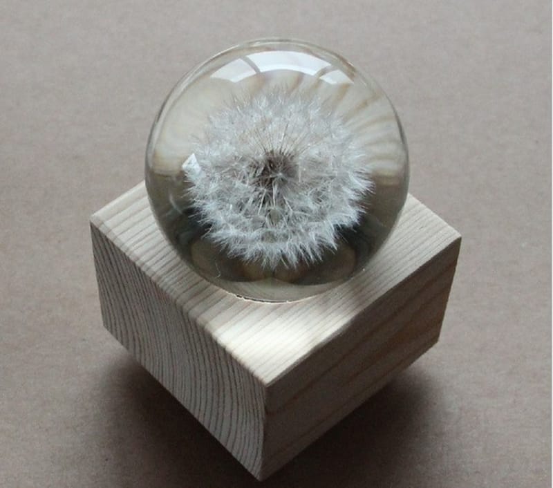 Natural Dandelion Paperweight