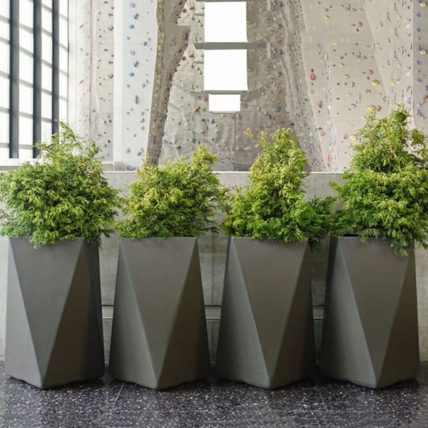 Modern-Rectangular-Planters