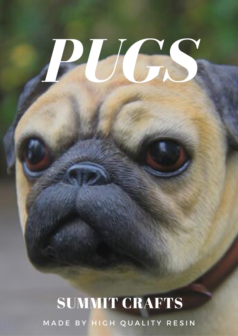 pugs